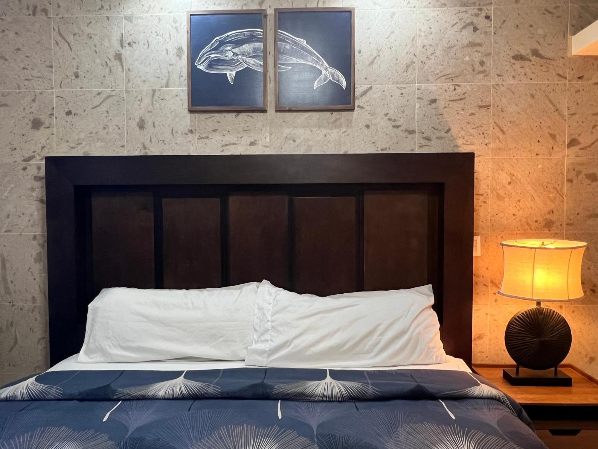 Ancla Suites Hotel - 2 Bedroom Apartments Puerto Peñasco エクステリア 写真